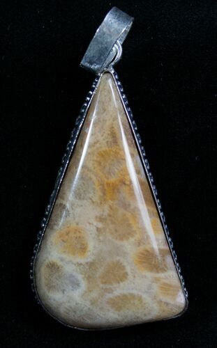 Fossil Coral Pendant - Million Years Old #7688